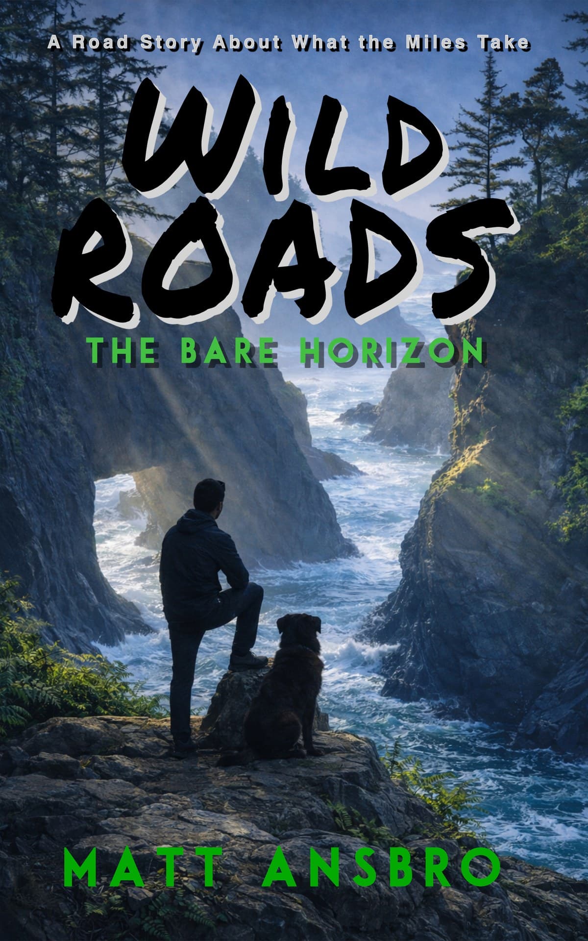 Book cover: The Bare Horizon, book 2 of the Wild Roads trilogy by Matt Ansbro