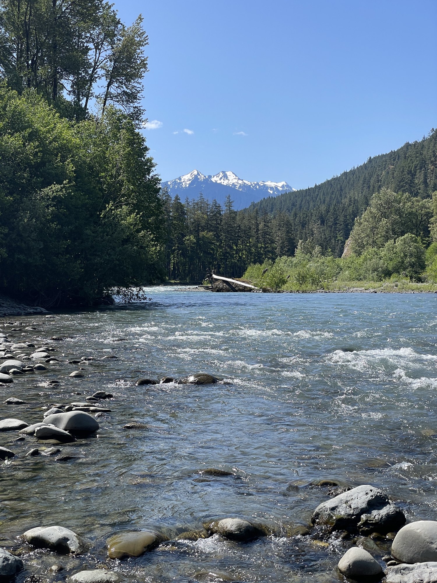 A rocky river flowing past evergreen banks, with a snow-dusted mountain in the distance.