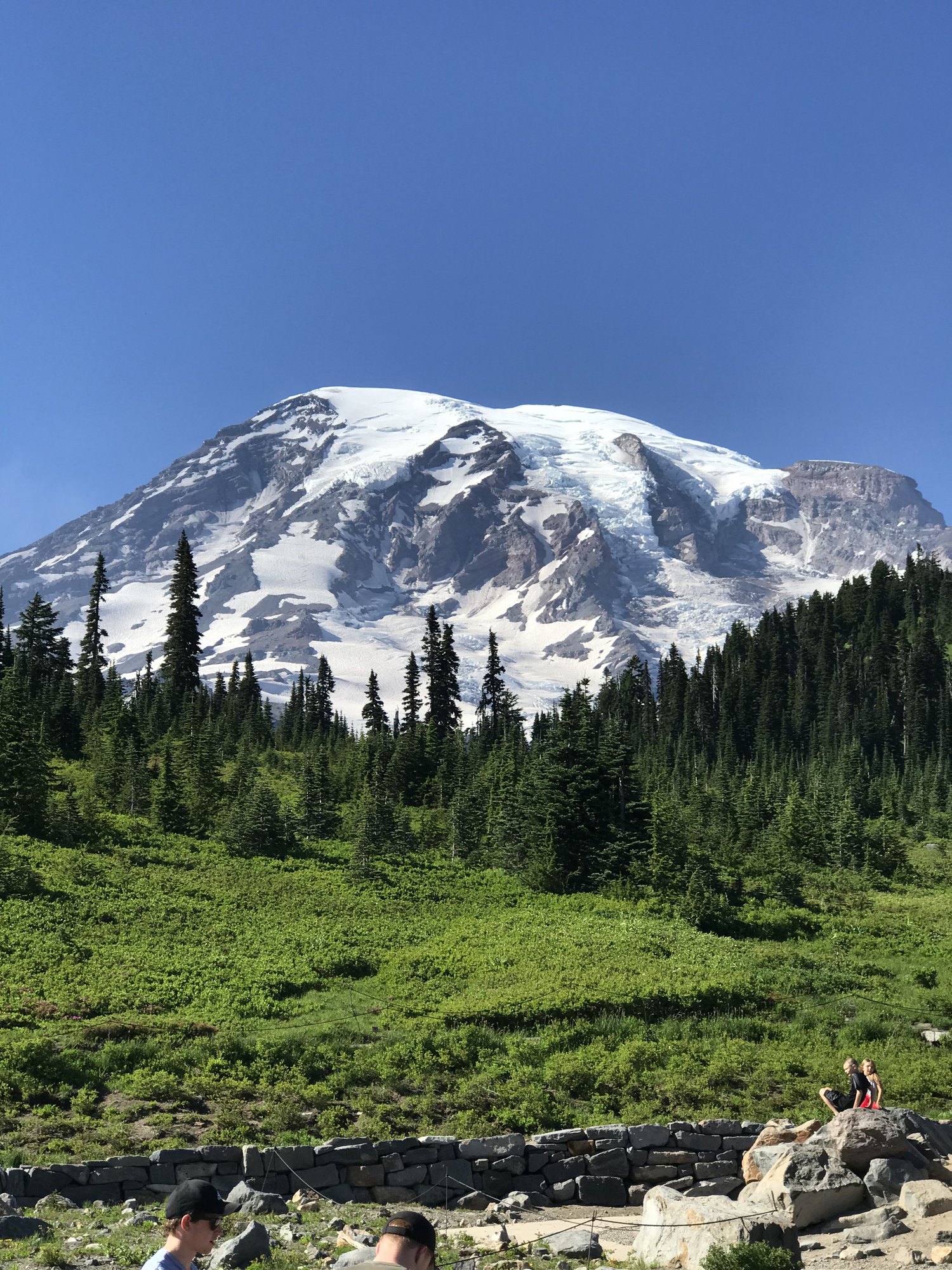 Mount Rainier above a green slope, with hikers resting near a rocky trail.
